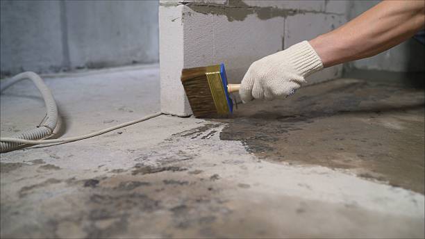SJ Waterproofing Pros Waterproofing coverage map for Tennessee Ridge, TN and surrounding area